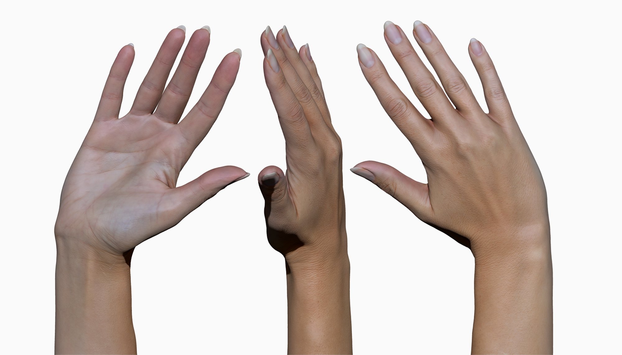 11 X Female 3D Hand Scans